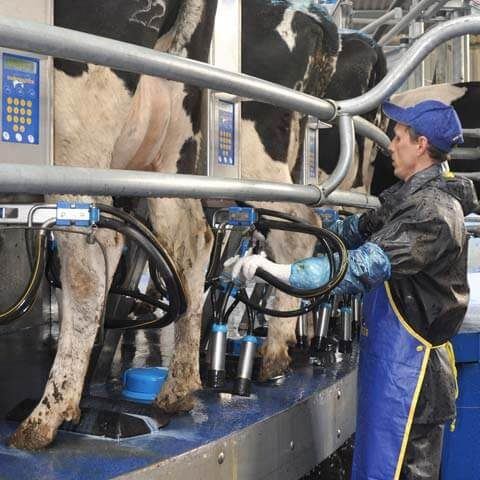 Upgrade My Parlour - Dairymaster