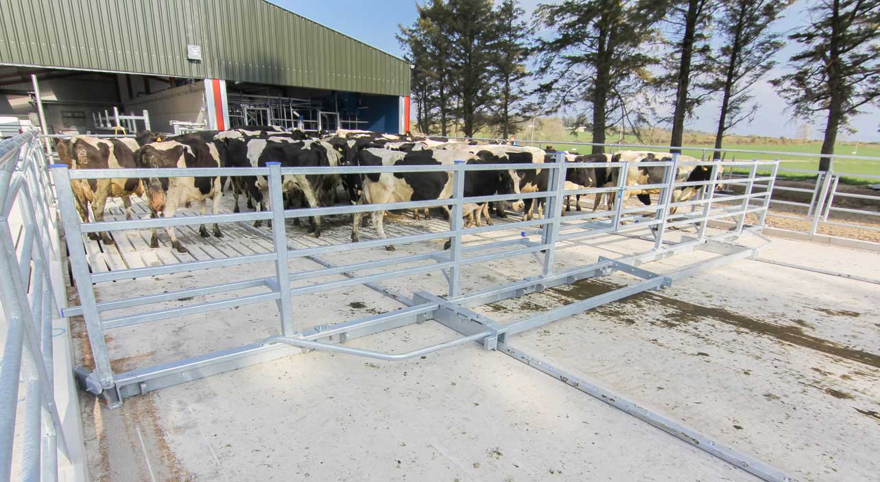 Scraper Backing Gate - Dairymaster