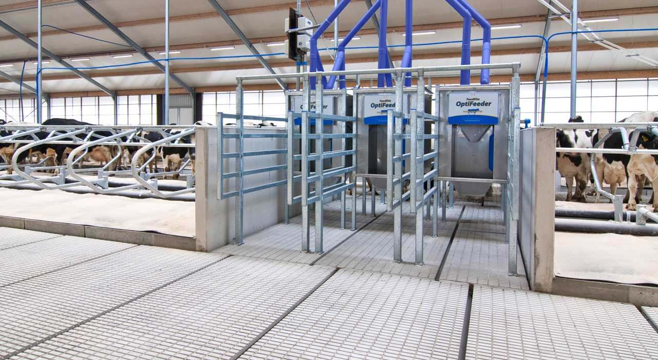 Out Of Parlour Feeders Dairymaster